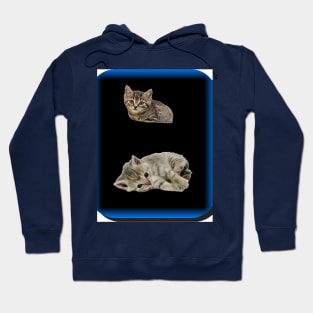 kittens Hoodie